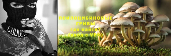 первитин Горнозаводск