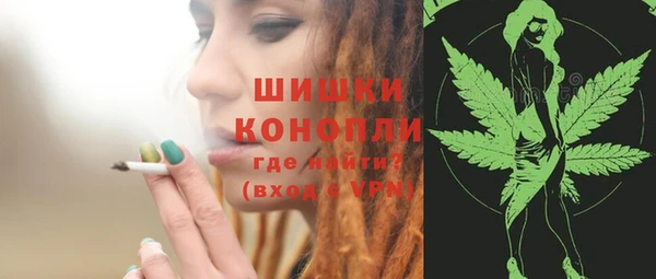 первитин Горнозаводск