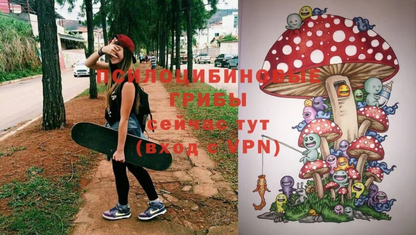первитин Горнозаводск