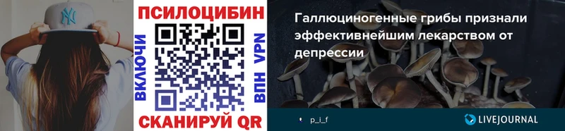 Галлюциногенные грибы Psilocybe  Купить  Игарка 